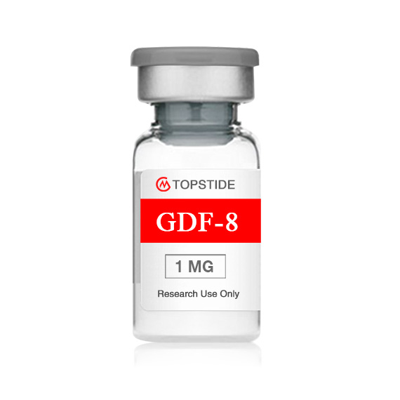 GDF-8 1mg 570x570px